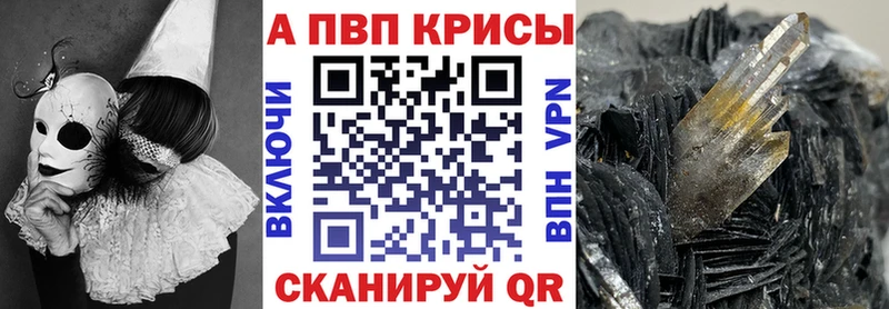 дарнет шоп Инта Альфа ПВП СК КРИС