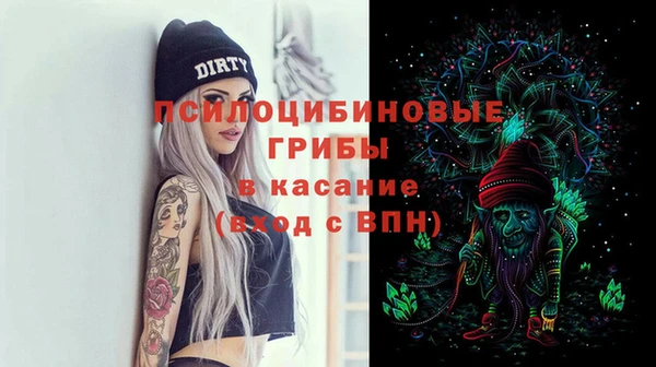 прущие грибы Покачи