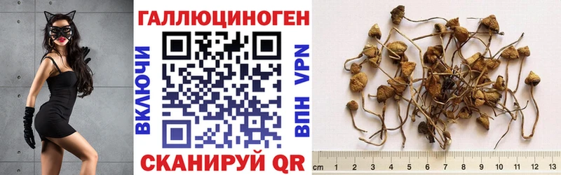 Псилоцибиновые грибы Magic Shrooms  Инта 